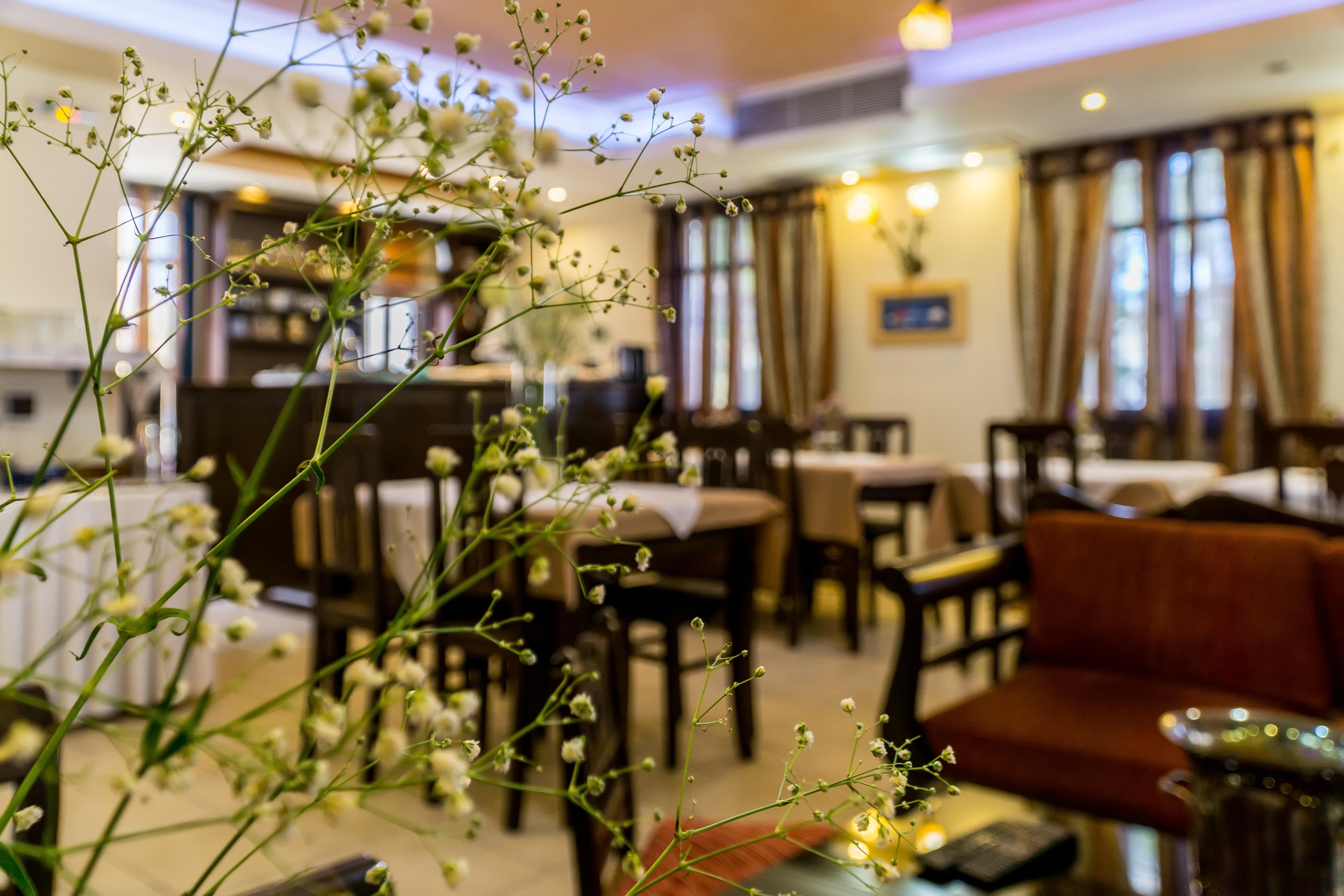 "Epavlis Boutique Galaxidi" Hotell Exteriör bild